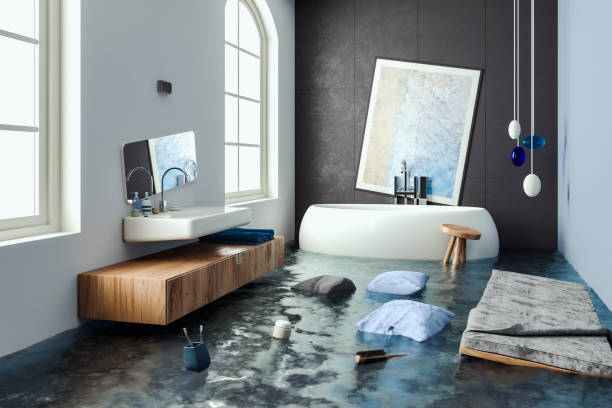 Best Mold removal after water damage  in Laguna Niguel, CA