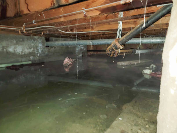 Best Basement water damage restoration  in Laguna Niguel, CA