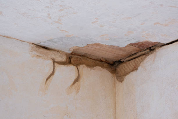 Best Water damage contractors near me  in Laguna Niguel, CA