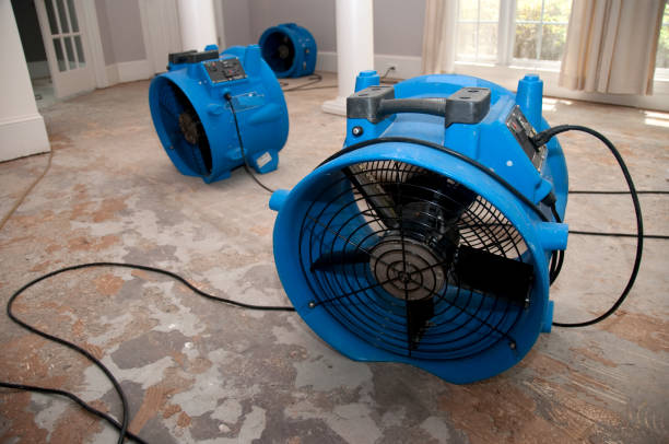 Best Carpet water damage restoration  in Laguna Niguel, CA