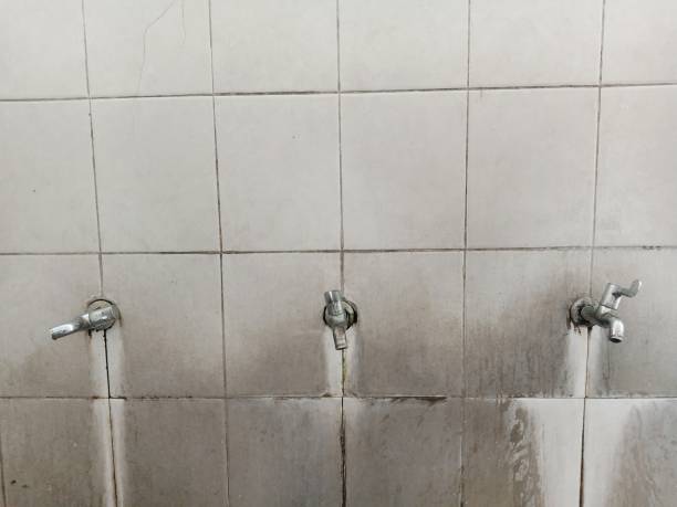 Best Water damage repair service  in Laguna Niguel, CA
