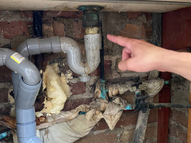 Best Fire Damage Restoration  in Laguna Niguel, CA